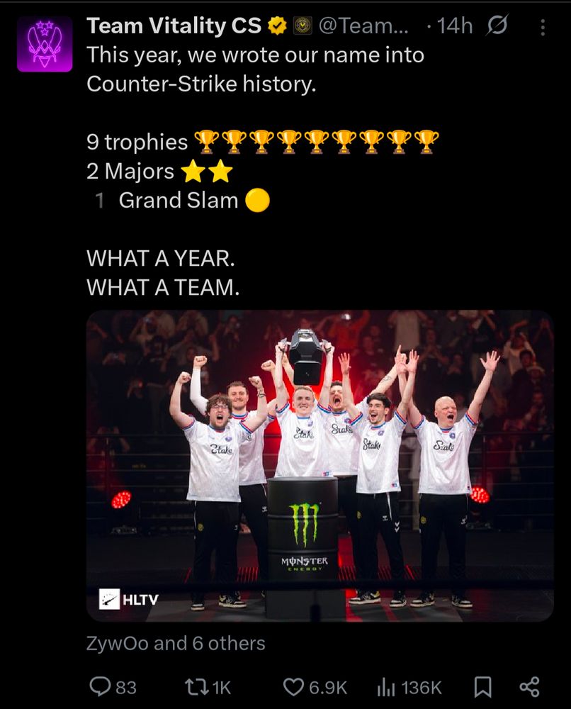a screenshot of a post on X from @TeamVitalityCS displaying the following:

This year, we wrote our name into Counter-Strike history.

9 trophies 🏆🏆🏆🏆🏆🏆🏆🏆🏆
2 Majors ⭐️⭐️
1️ Grand Slam 🟡

WHAT A YEAR.
WHAT A TEAM.

the post also includes an hltv.org picture of (from left to right) zywoo, mezii, ropz, apex, flamez, and xtqzzz celebrating the trophy lifting from the starladder budapest major.