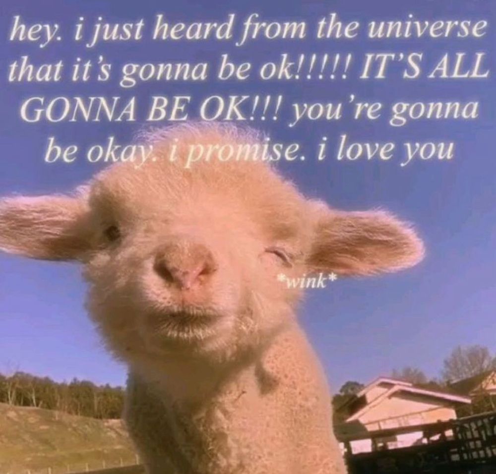 cute winking goat „hey i just heard from the universe that its gonna be ok! its all gonna be ok! youre gonna be okay i promise i love you” 