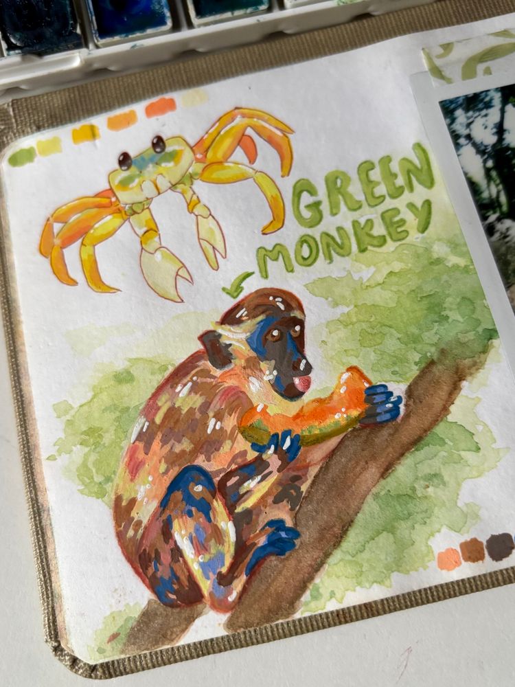 mixed media drawing of yellow crab and green monkey holding a melon. both based on photos i took
