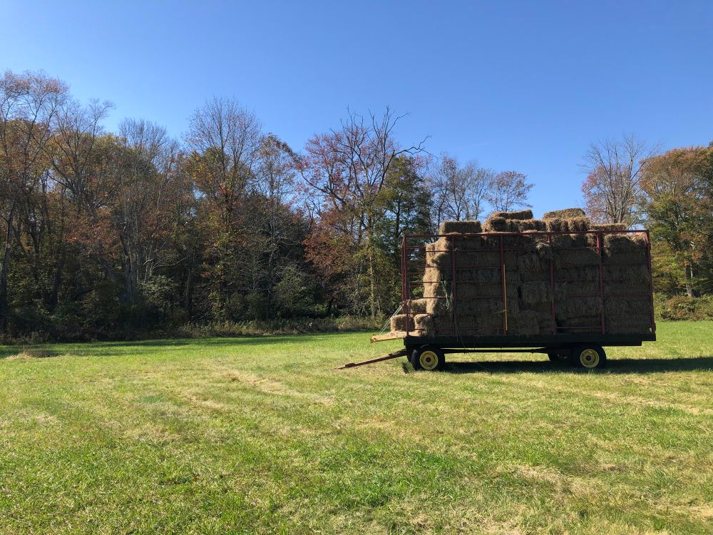 A full hay cart in a field