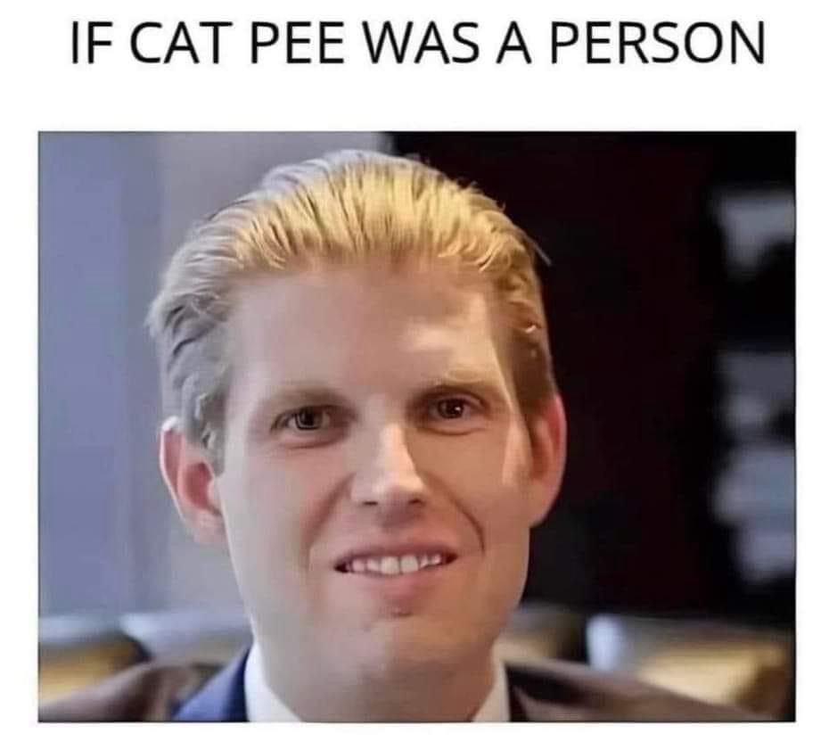 Eric Trump headshot labeled “if cat pee was a person”