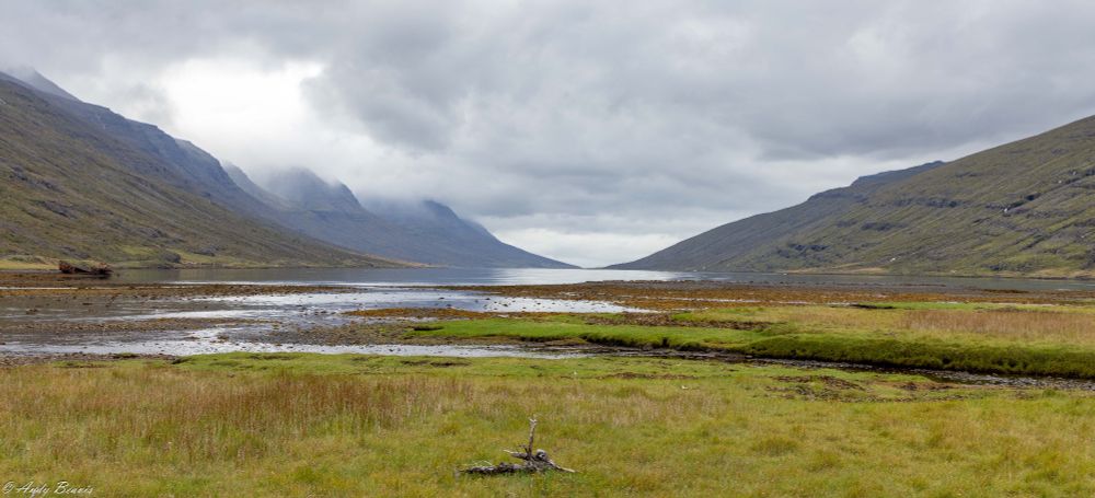 A view looking down a fjord at almost water level, each side of the fjord riding up mountainside, with the lefthand peaks capped in low cloud. In the foreground is some marshy grass, with a piece of driftwood central on the grass. Off to the left of the fjord, is a old grounded ship wreck. 