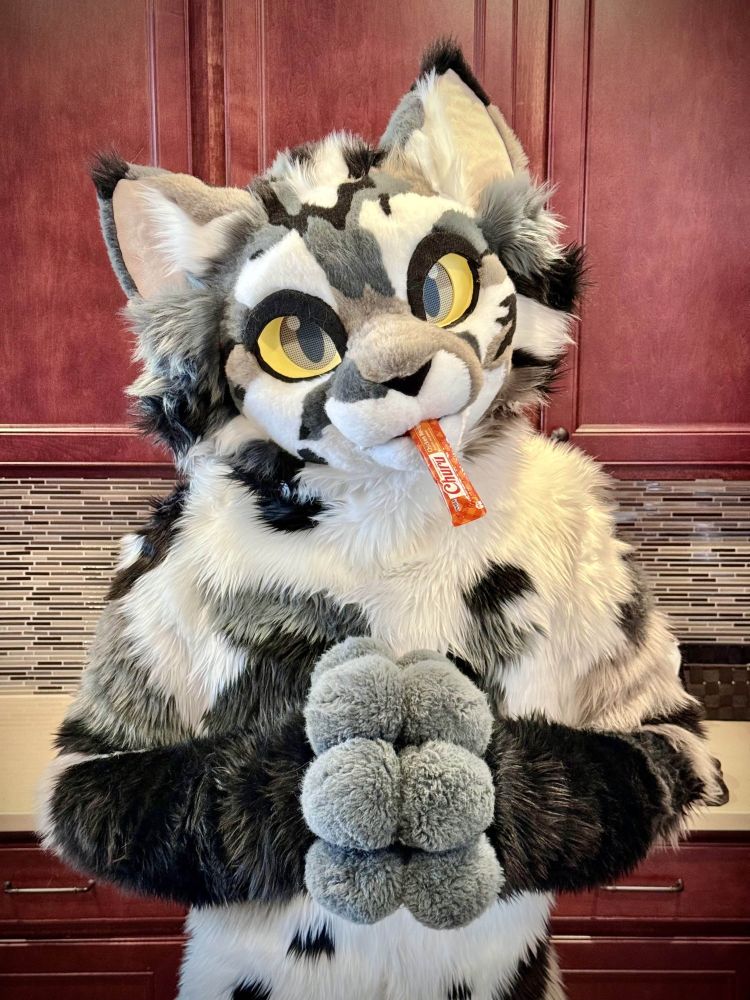 A cat fursuiter with a Churu in his mouth, giving you a quizzical look.