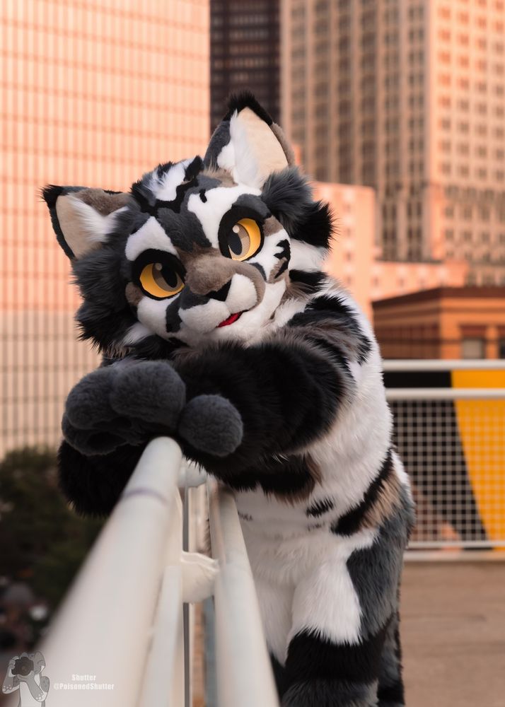 A cat fursuiter stretching forward along a railing at AC2025.