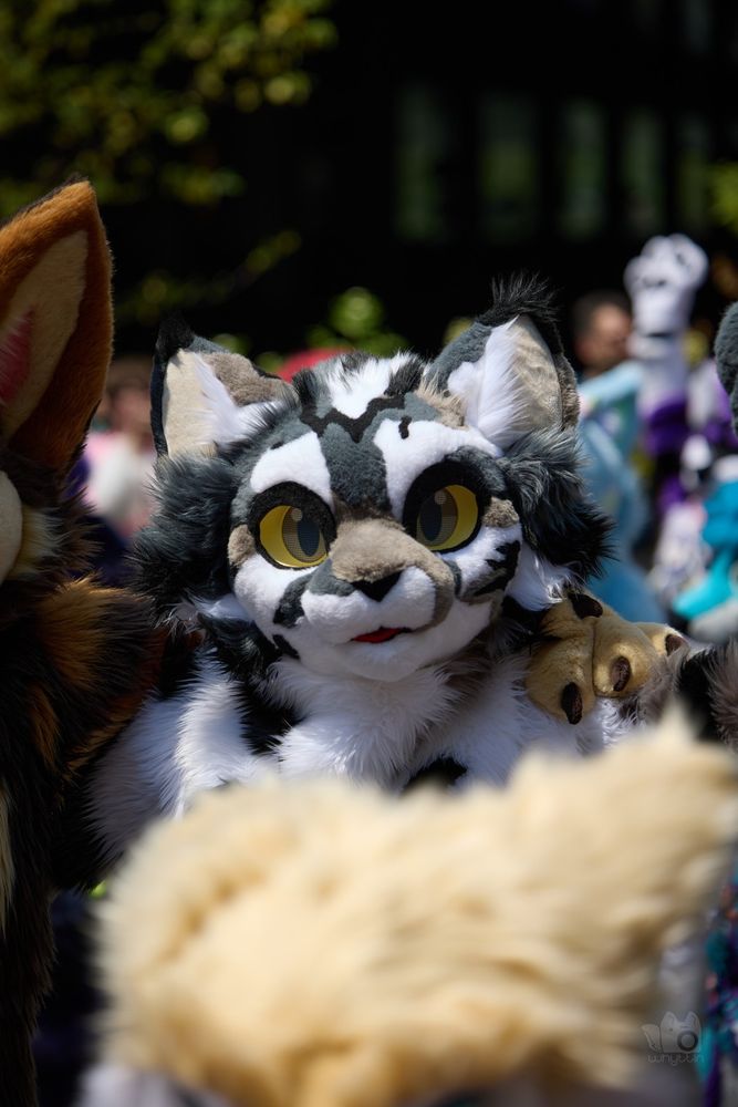 Photo of cat fursuiter in parade.