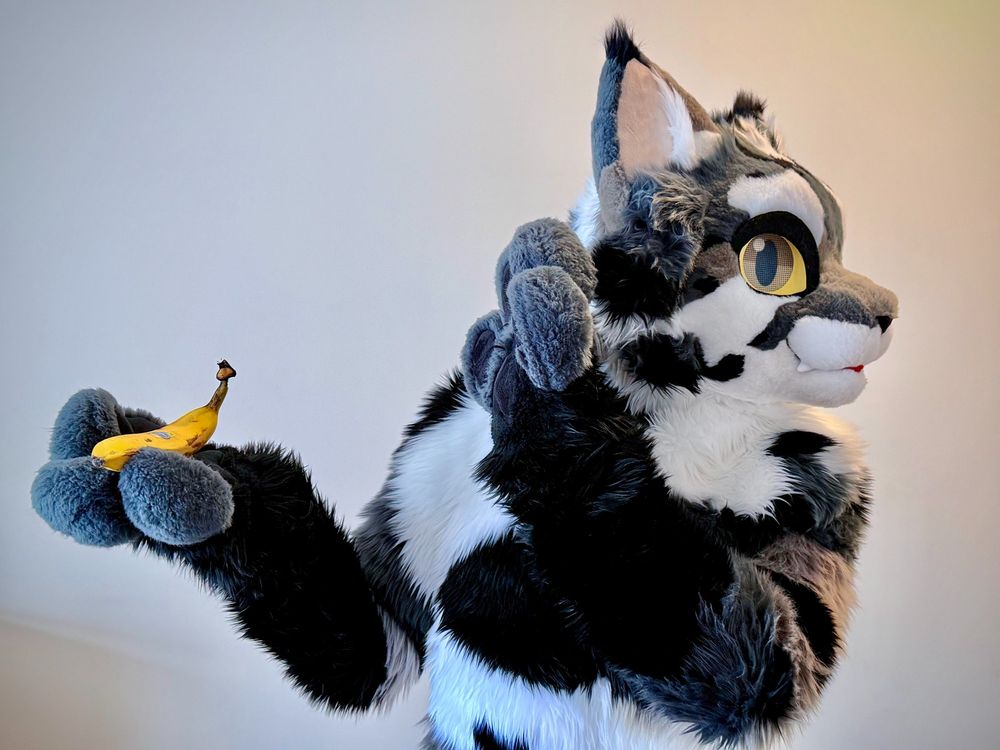 A photo of a cat fursuiter holding, yet rejecting, a banana.