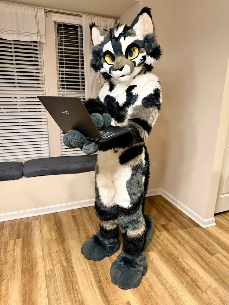 A cat fursuiter with an open laptop.