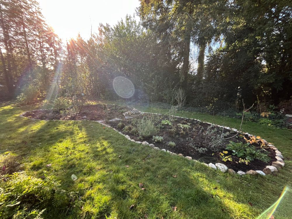 Een border vol bloemen, struiken en bomen, afgezet met maaskeien, in een gazon omgeven hoor hoge bomen. 