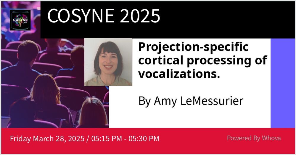 cosyne 2025 talk: Projection-specific cortical processing of vocalizations, Friday 3/28 5:15