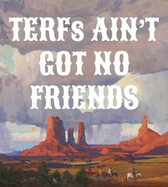 An illustration of monument valley with ‘terfs ain’t got no friend’ written on it in a suitably ‘cowboy’ script 