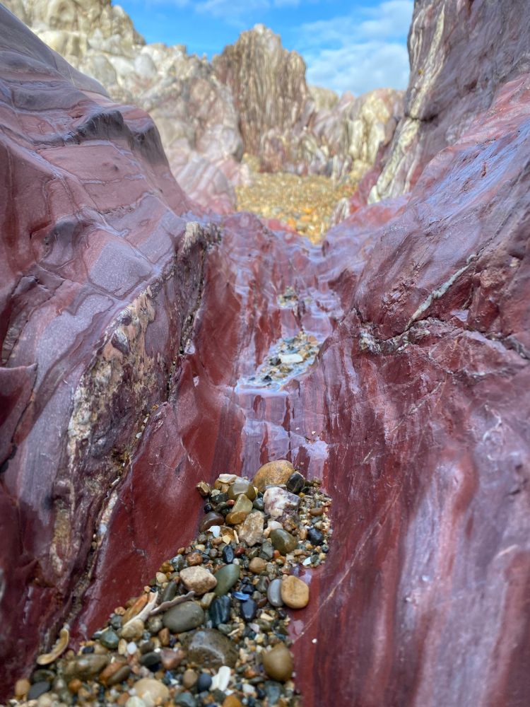 Close-up photo of a deep pink rock formation on a beach 