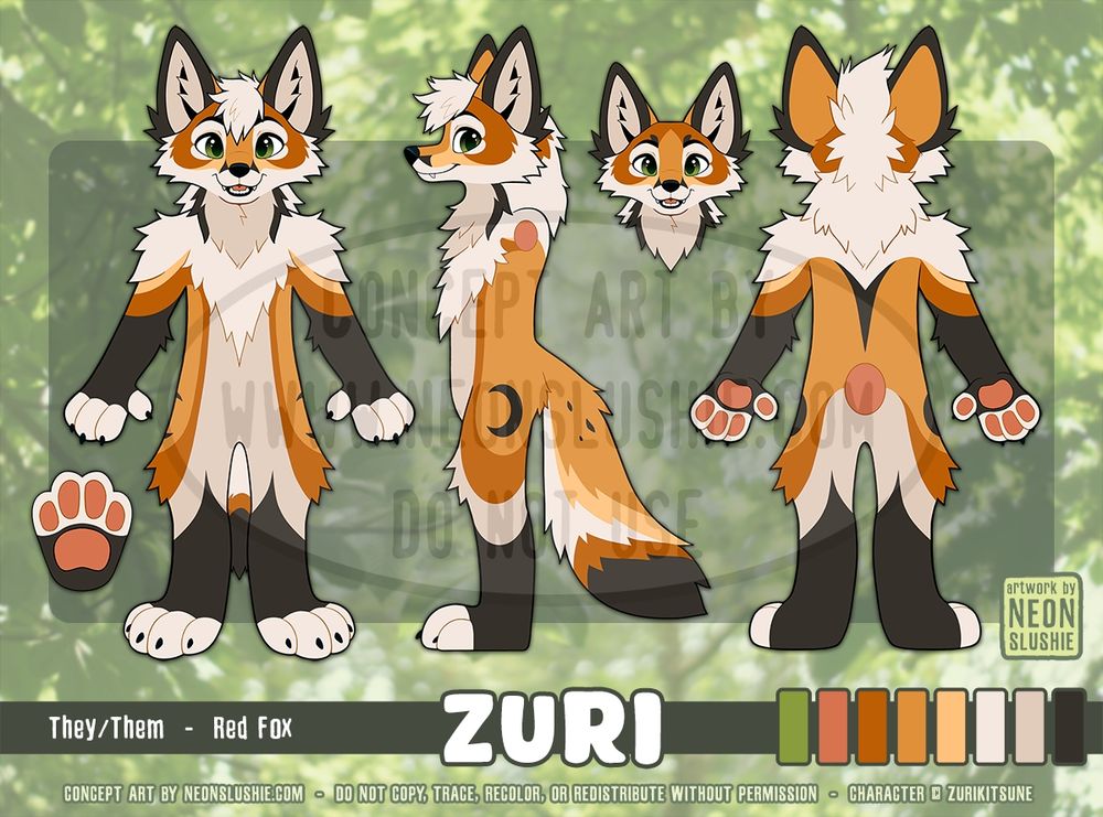 A digital Fursuit reference sheet for a cartoon anthropomorphic fox character named Zuri. The fox is shades of orange and rust with a white and off-white belly, fingers and toes, with black on the ears, arms, legs, and tail tip. 🎨 #FurryArt #Fursuit