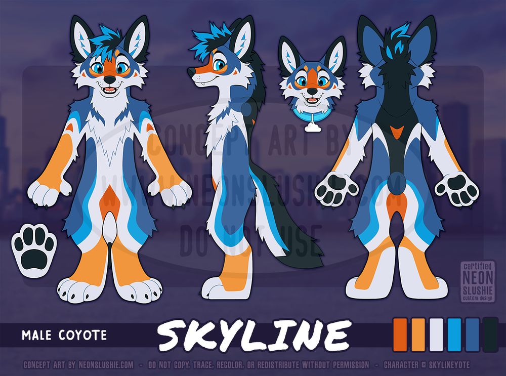 A digital reference sheet for an anthro furry coyote character named Skyline. He is blue with a white belly, fingers, and toes and orange on his limbs and nose bridge. A black stripe runs down his back and his black hair is tipped in a bright blue. 🎨 #FurryArt