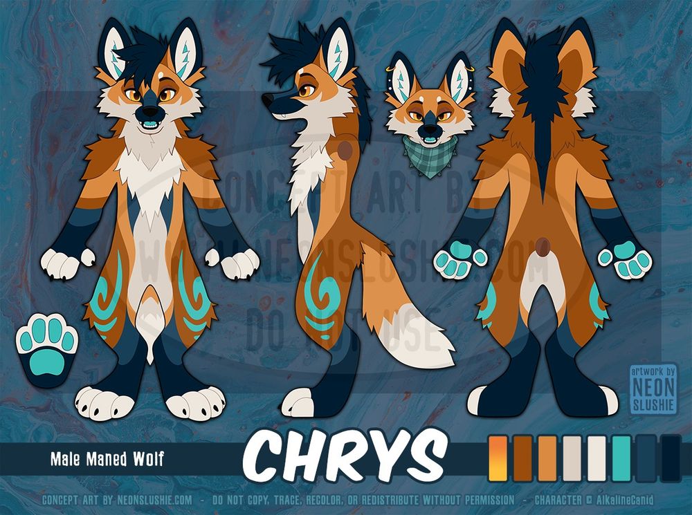 A digital reference sheet of an anthro maned wolf character. He has orange and rust fur with a pale gray belly, chest, and face, as well as the tips of his fingers and toes. On his limbs are two shades of deep navy blue. Turquoise swirl markings flow along his outer thighs. 🎨 #FurryArt