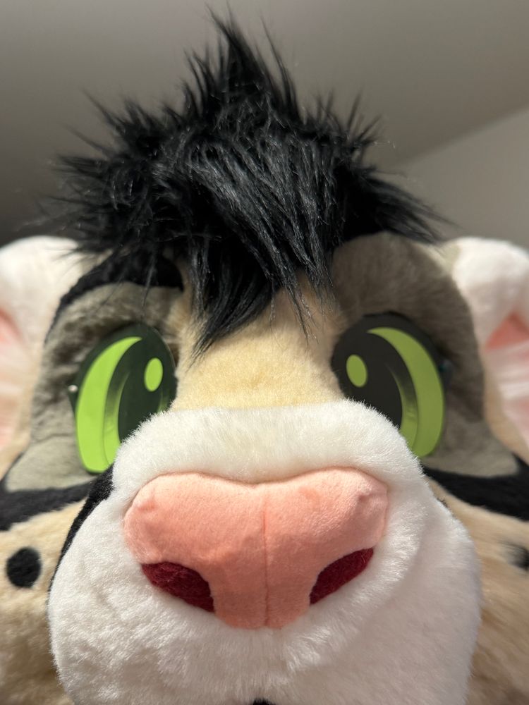 A closeup of a feline fursuit head, it’s focused on the nose with big eyes staring down at the viewer. #Fursuit