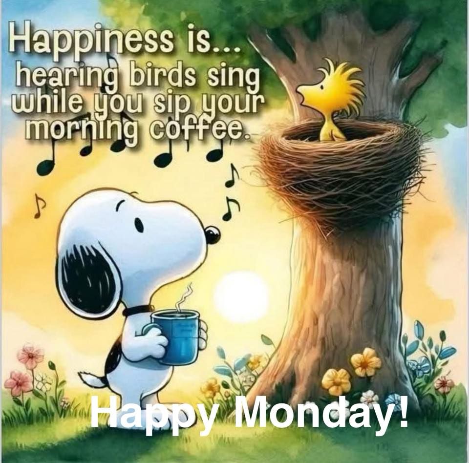 Happiness is... hearing birds sing while you sip your morning coffee. Happy Monday!
