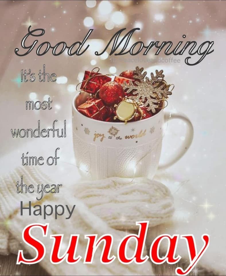 Good morning
It's the most wonderful time of the year
Happy Sunday