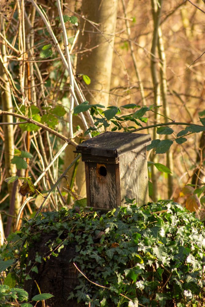 Cute Bird House.
