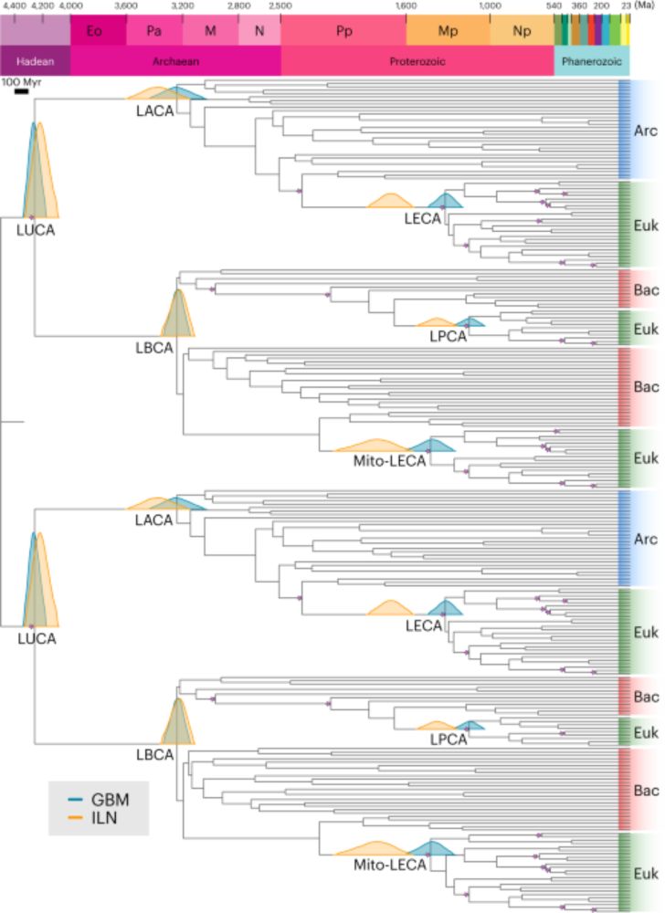 The nature of the last universal common ancestor and its impact on the early Earth system - Nature Ecology & Evolution