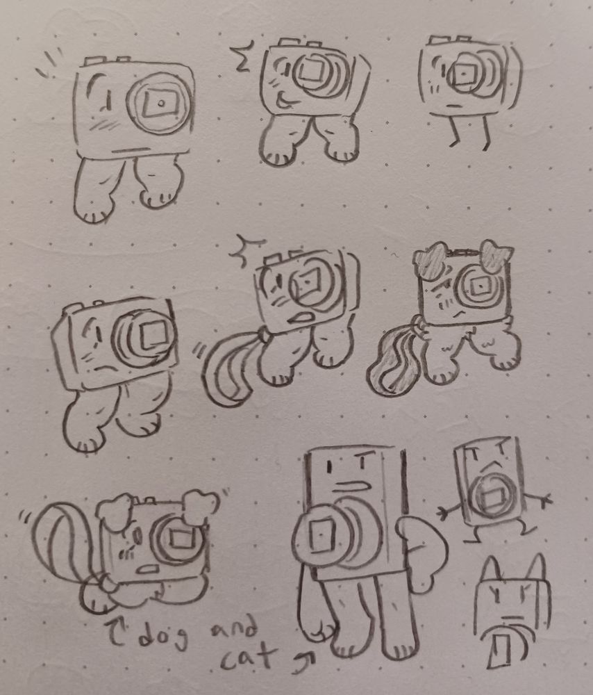 Cammy is a dog and Camera is a cat.