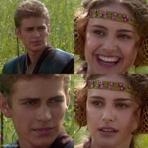 The Anakin Skywalker and Padme meme (without any captions, because laziness)
