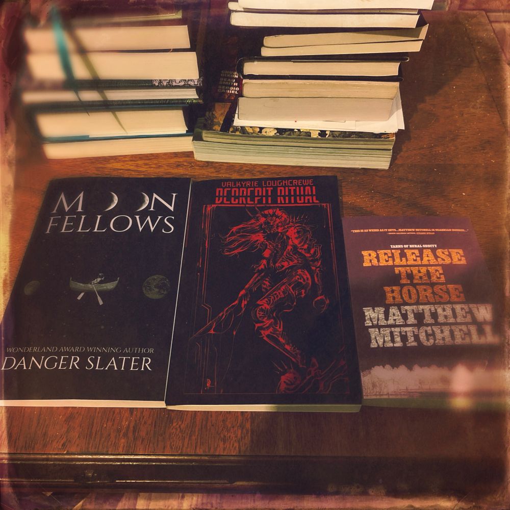 Three unread books - displayed before a pair of piles of also unread books - by Danger Slater, Valkyrie Loughcrewe, and Matthew Mitchell. I don’t have a problem, *you* have a problem!