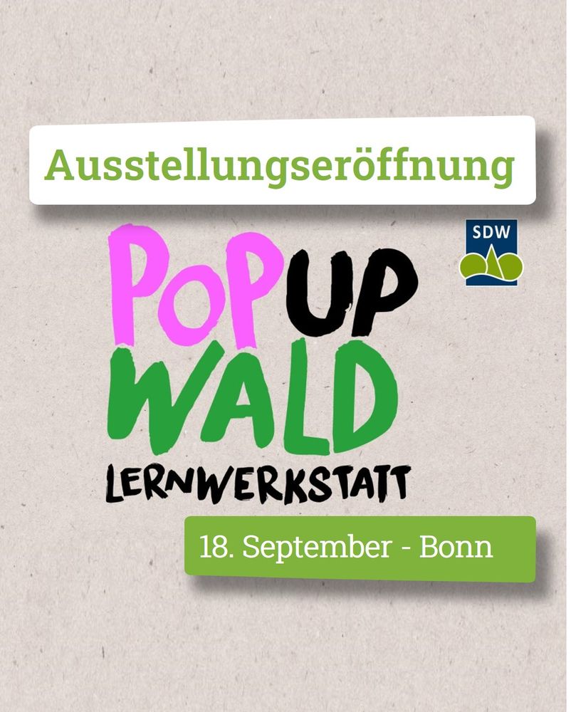 Die PopUp Wald-Lernwerkstatt der SDW bietet bis 2027 in sechs deutschen Städten allen Interessierten die Möglichkeit sich mit Bioökonomie und dem nachhaltigen Wandel unserer Städte auseinanderzusetzen. Von September bis Dezember 2025 macht sie in Bonn mit einer Ausstellung Station. (Quelle: Screenshot SDW-Projektseite)