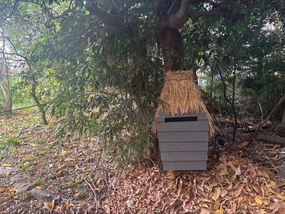 布多天神社裏の妖怪ポスト