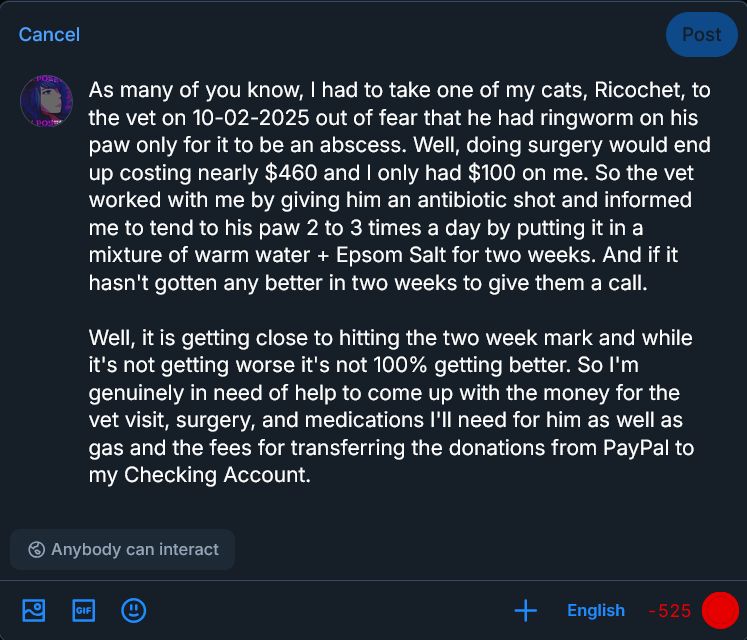 As many of you know, I had to take one of my cats, Ricochet, to the vet on 10-02-2025 out of fear that he had ringworm on his paw only for it to be an abscess. Well, doing surgery would end up costing nearly $460 and I only had $100 on me. So the vet worked with me by giving him an antibiotic shot and informed me to tend to his paw 2 to 3 times a day by putting it in a mixture of warm water + Epsom Salt for two weeks. And if it hasn't gotten any better in two weeks to give them a call.

Well, it is getting close to hitting the two week mark and while it's not getting worse it's not 100% getting better. So I'm genuinely in need of help to come up with the money for the vet visit, surgery, and medications I'll need for him as well as gas and the fees for transferring the donations from PayPal to my Checking Account.