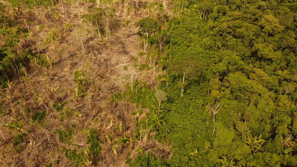 Crise climática: relatório internacional pede precisão em medições