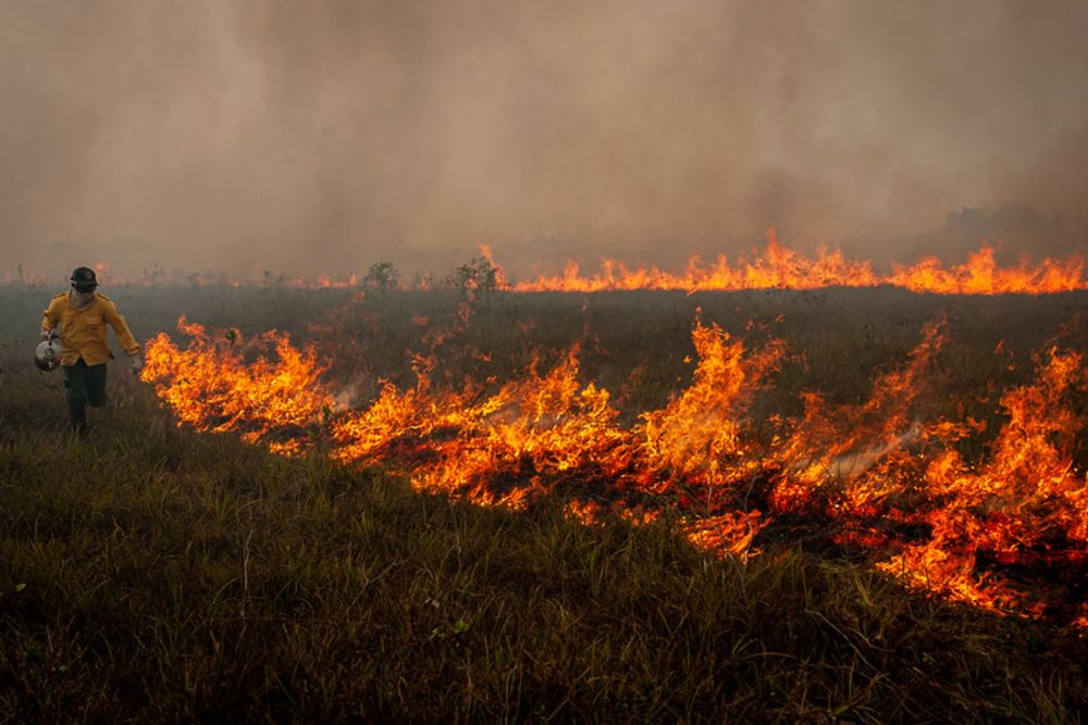 Controle das queimadas exige combate ao desmatamento ilegal e incentivo ao uso sustentável da terra - Agência BORI