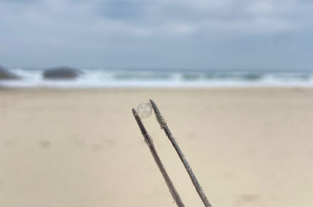 Microplásticos vindos do porto de Itajaí poluem Florianópolis