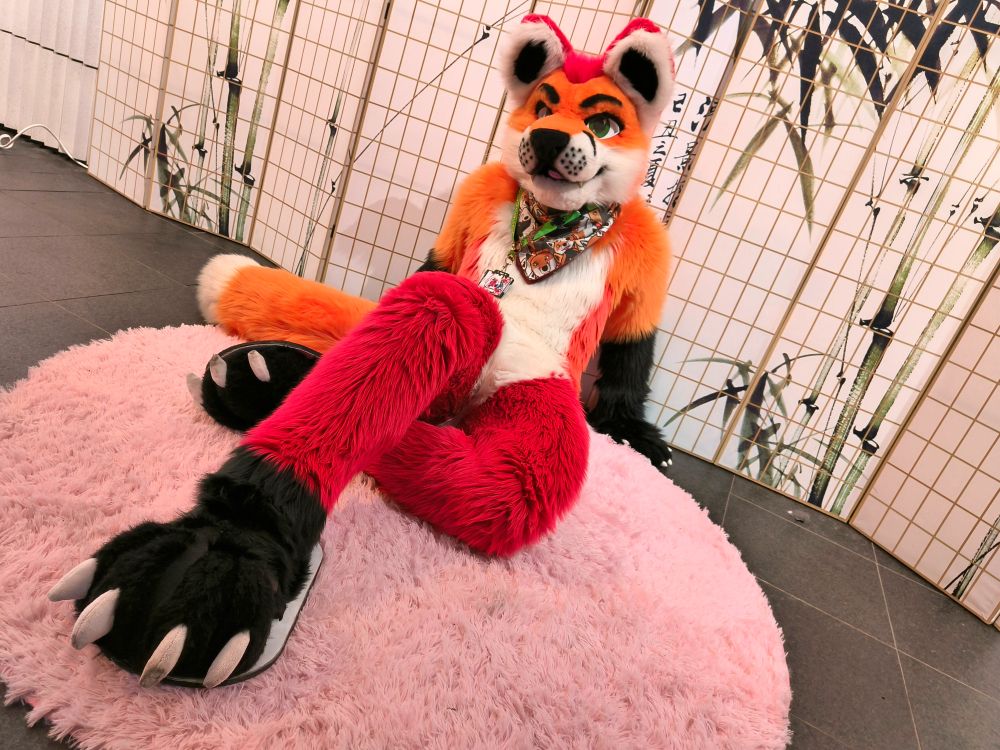 Fursuit photo of Loimu The Fox sitting on a pink rug in front of a Japanese style bamboo rice paper wall.