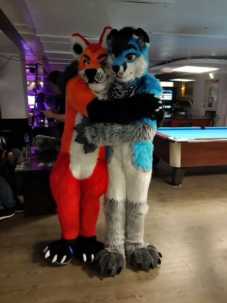 Fursuit photograph of the two foxes posing for the camera with a bar scene in the background.