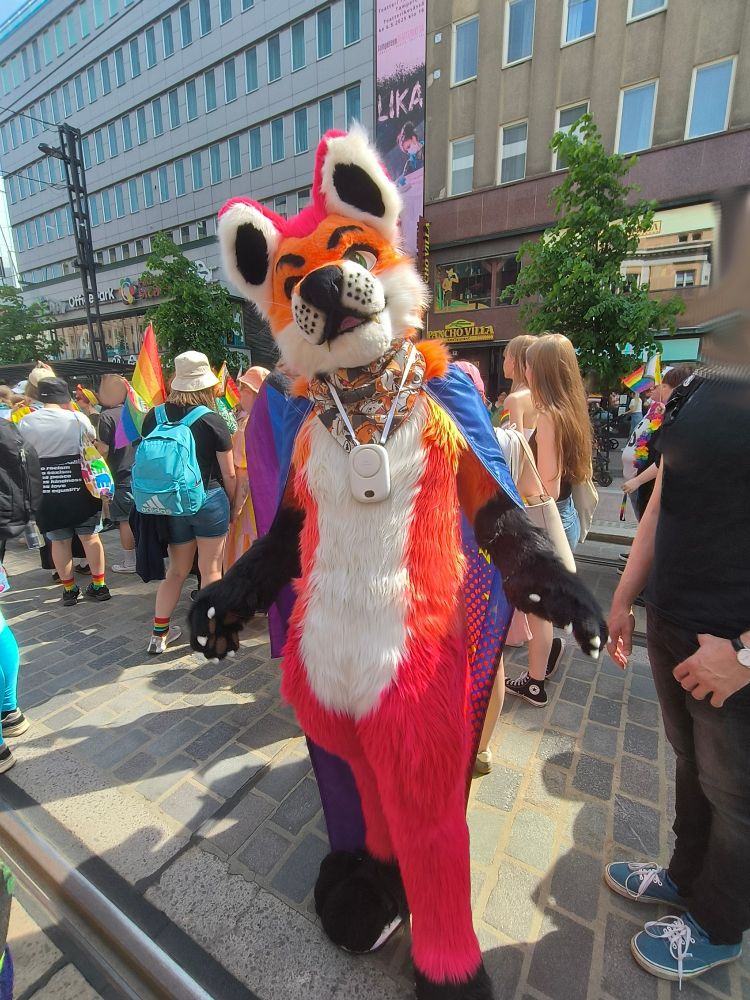 Fursuit photo of Loimu The Fox wearing a rainbow flag on his back posing while a parade stands still. People with more pride flags can be seen on the background. 