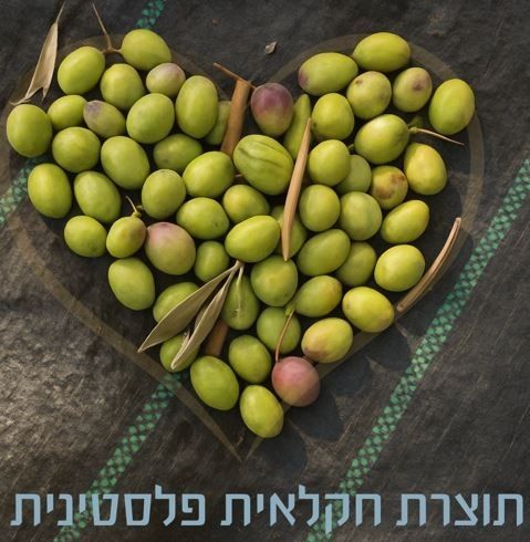 זיתים שנמסקו על באלה מסודרים בצורת לב 💚
כיתוב „תוצרת חקלאית פלסטינית”.