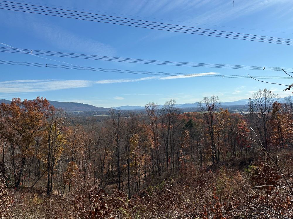 A view of the Roanoke Valley from the northwest, bare November trees and dry grasses in the foreground and mountains in the distance. Power lines run through the sky at top of frame.