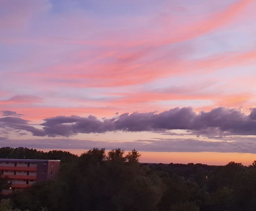 Beautiful purple/pink/orange sky when the sun goes down. Taken July 2021.