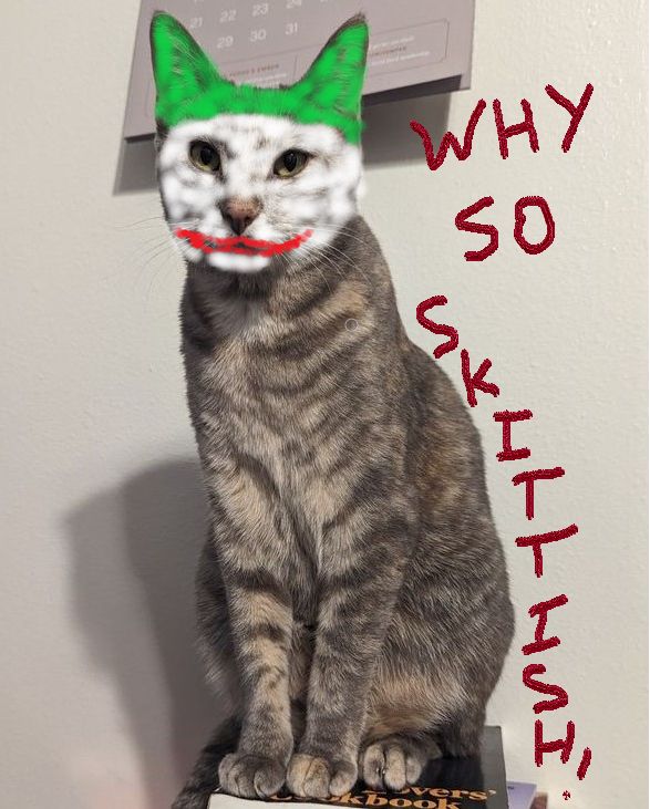 My Cat Homelite with 3d paint used to give her Joker make up and the words "Why so Skittish!" next to her, because she is so skittish.