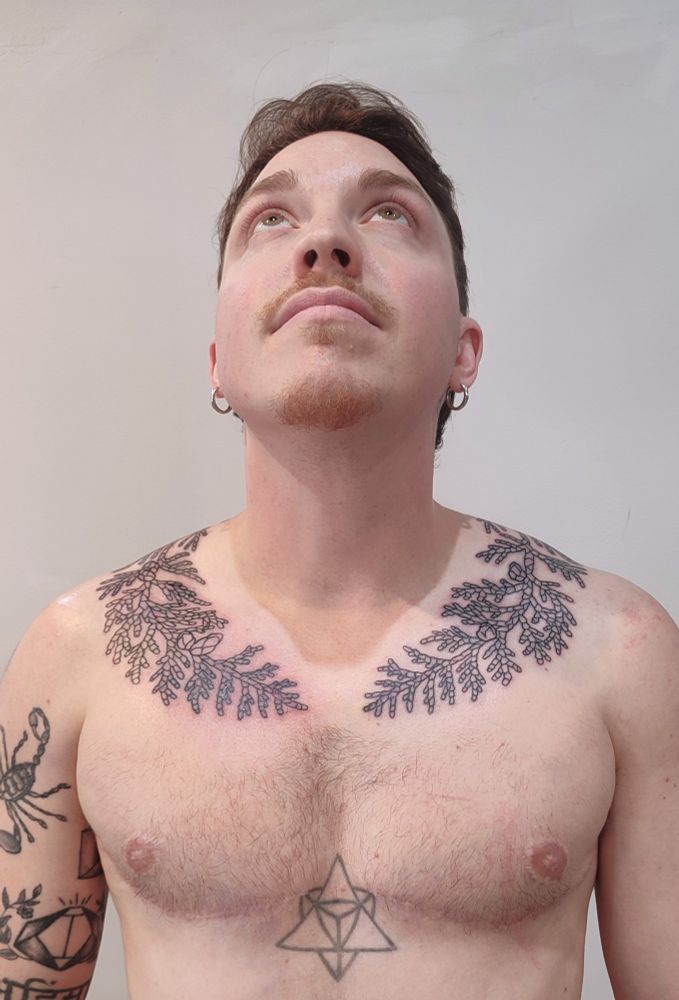 A photo of a person, standing shirtless looking up. On their shoulders, a fresh tattoo depicting cedar branches curling around the neck, wrapping around. Only the linework is done. It's a work in progress piece.