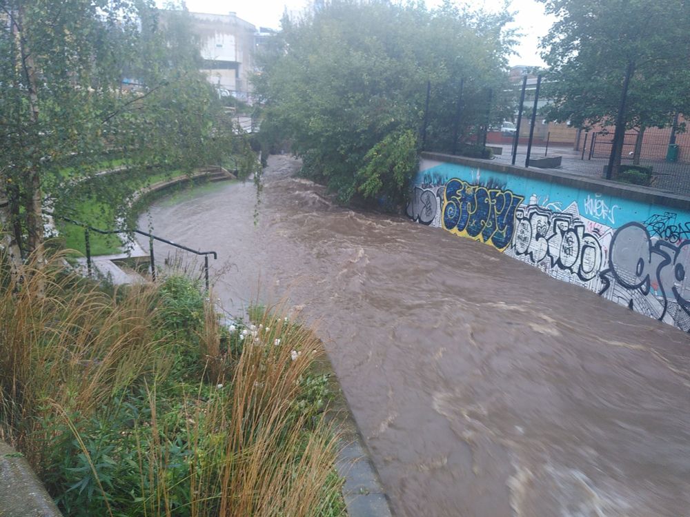 Porter brook overflowing