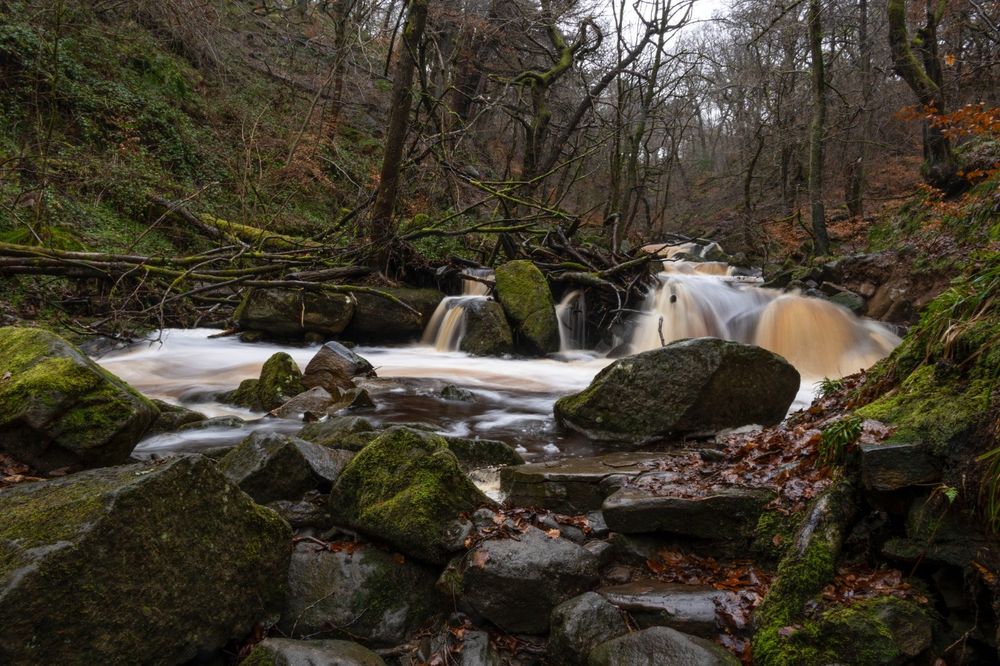 Padley Gorge 