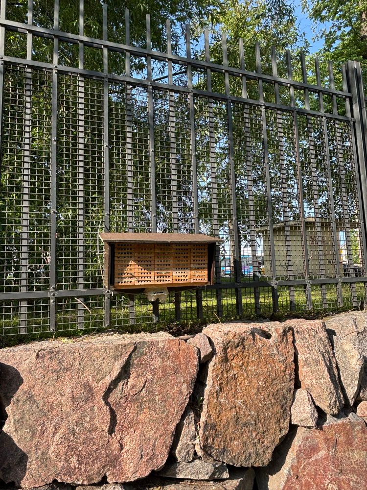 Hyönteishotelli ja mehiläisiä Kaisaniemen kasvitieteellisen puutarhan aidalla.