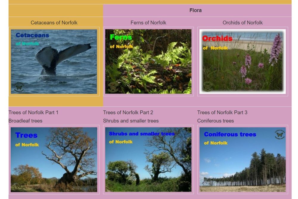 Six more wildlife guides: Cetaceans, Ferns, Orchids, Trees, Shrubs and smaller trees and Coniferous Trees.