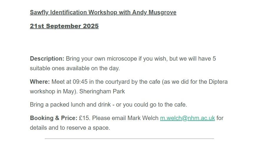 Poster screenshot reads:

Sawfly Identification Workshop with Andy Musgrove

21st September 2025



Description: Bring your own microscope if you wish, but we will have 5 suitable ones available on the day.

Where: Meet at 09:45 in the courtyard by the cafe (as we did for the Diptera workshop in May). Sheringham Park

Bring a packed lunch and drink - or you could go to the cafe. 

Booking & Price: £15. Please email Mark Welch m.welch@nhm.ac.uk for details and to reserve a space.