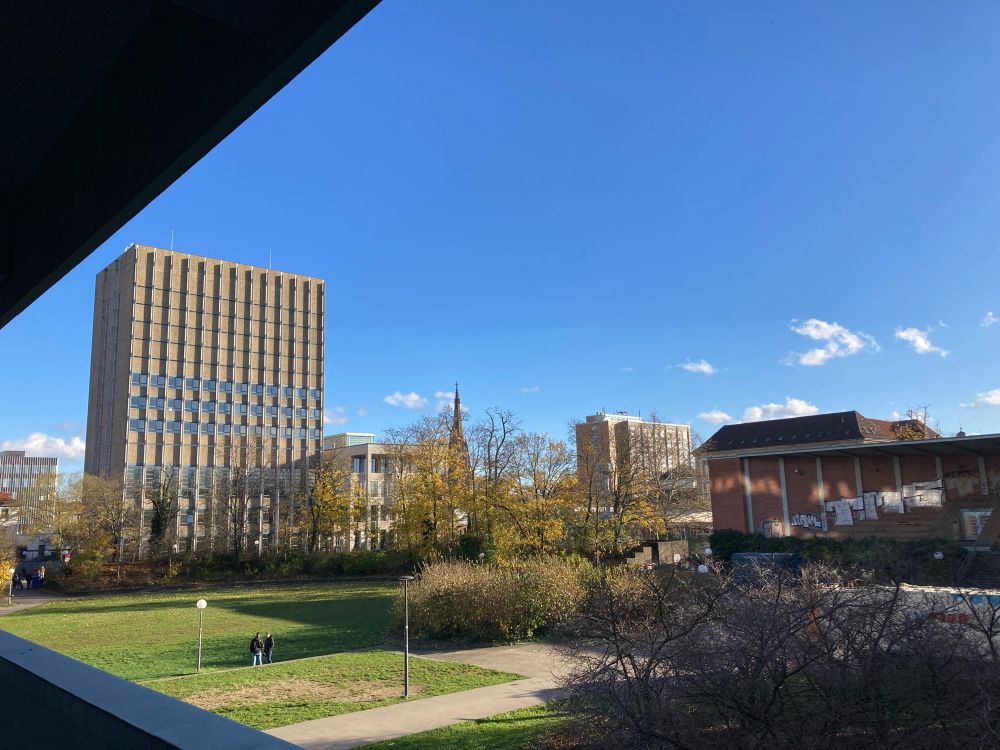 a sunny campus with a tall 70s building and some yellow-leaved trees in front