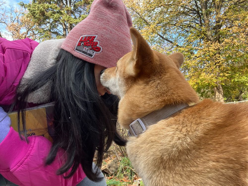 A shiba dog sniffing Mitra’s face while she knocks doors