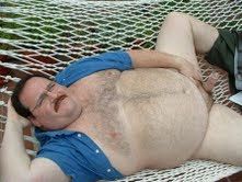 Naked bear wearing an open blue shirt on a hammock 