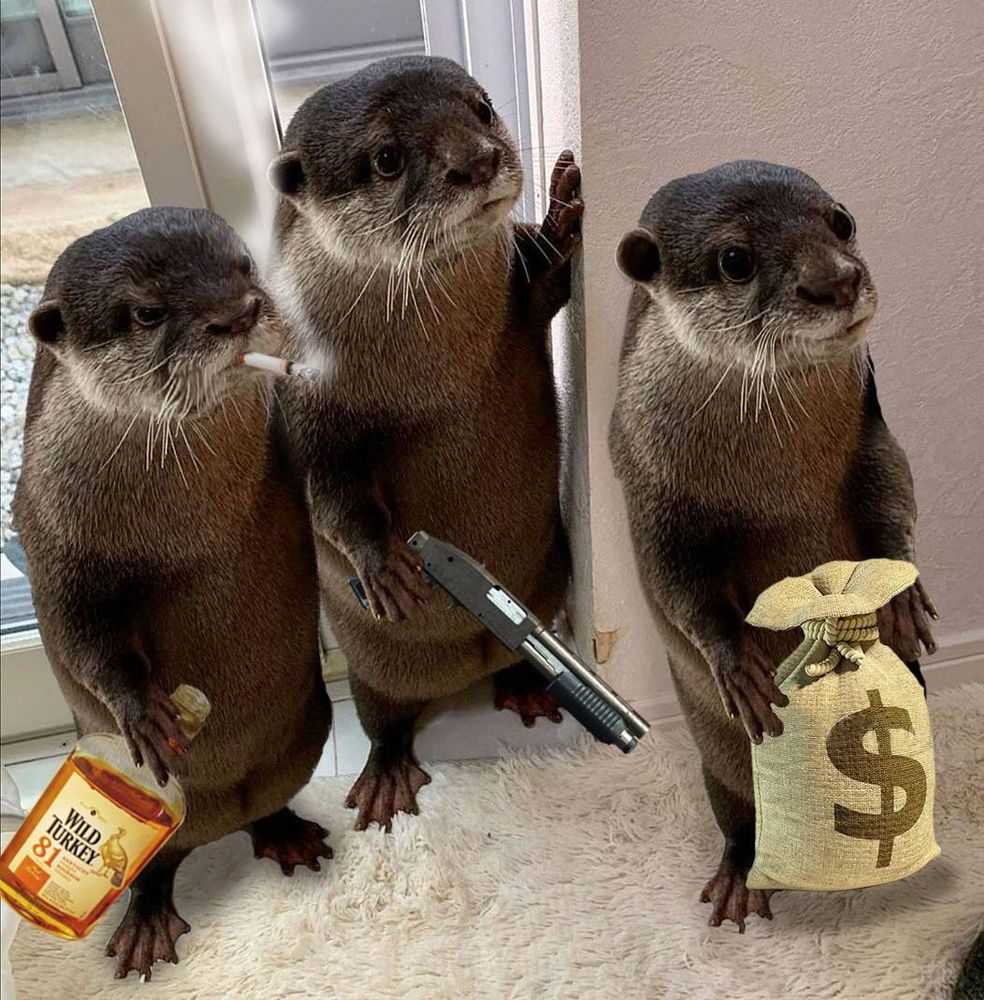 Auf dem Bild sind drei Otter zu sehen: Der linke Otter hält eine Flasche „Wild Turkey“-Whiskey in der rechten Pfote und hat eine Zigarette im Maul und guckt böse. Der mittlere Otter schaut leicht zur Seite und hält eine Schrotflinte in den Pfoten. Der rechte Otter trägt einen Geldsack mit Dollarzeichen und schaut nach vorne, als würde er gerade jemanden beobachten.