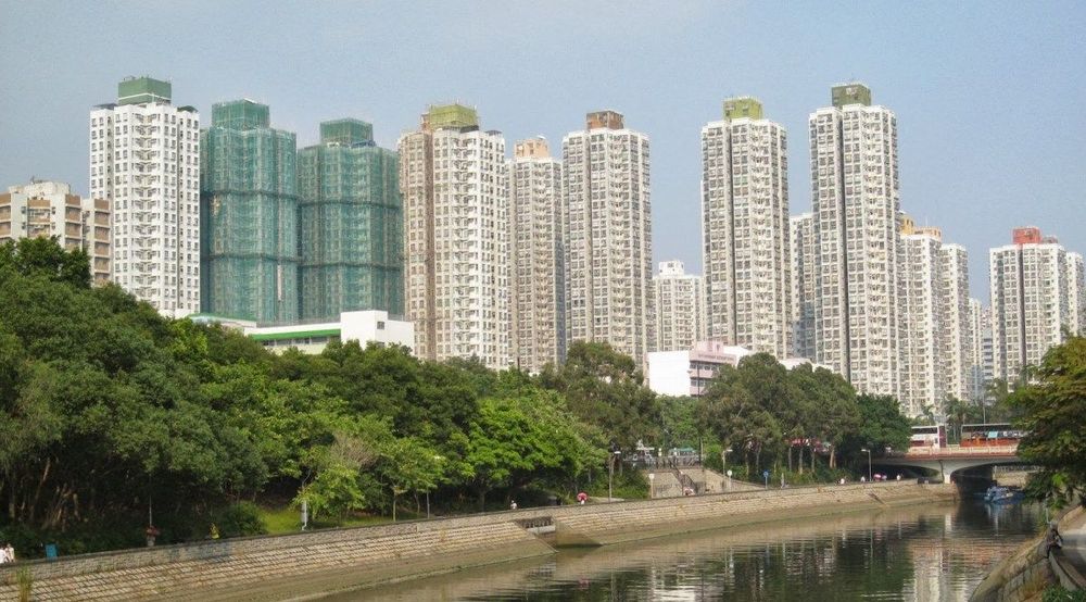 Weekly Wanderings: November 30, 2025